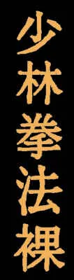 Schriftzeichen Shaolin Kempo Hadaka